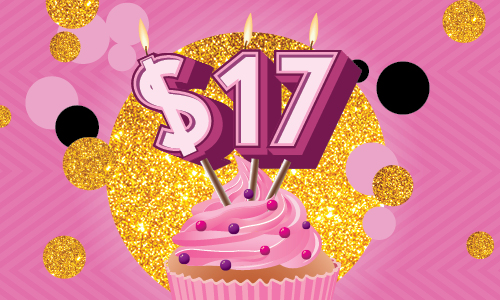 FA 17thBirthdayPromoOffer 500x300px v2